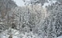 Image for Le devenir du patrimoine colos : un enjeu en montagne