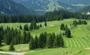 Image for Golf construction, le fleuron de Millet Paysages