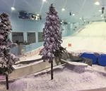 Image for Skier indoor au Caire sur de la neige TechnoAlpin
