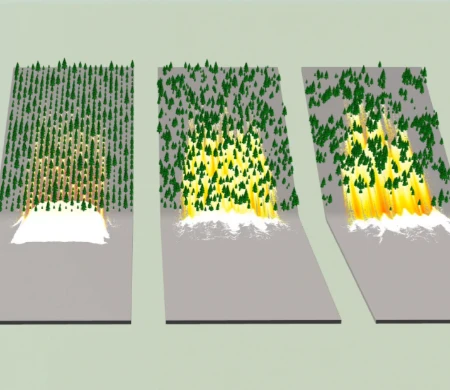 Image for Modéliser les forêts pour réduire l&rsquo;impact des avalanches ?