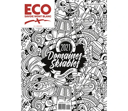 Image for Panorama des domaines skiables : un outil de travail