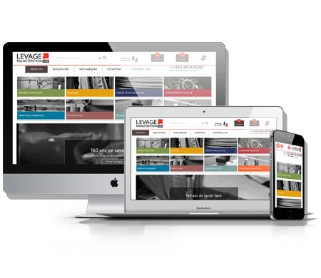 Image for CBR-MAGI-STLI Levage ouvre son premier site marchand