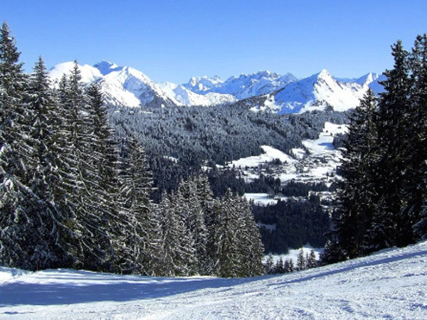 Image for DLM, nouvel exploitant du domaine skiable de Morzine