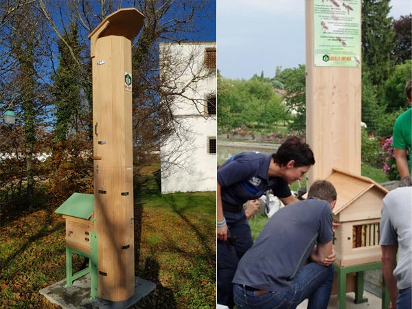 Image for Michel Monin innove avec une ruche pédagogique BEE-PASS